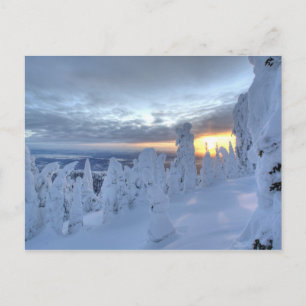 Schneemassen bei Sonnenuntergang im Pfahlfisch-Geb Postkarte