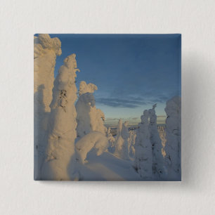 Schneemassen bei Sonnenuntergang im Whitefish Moun Button