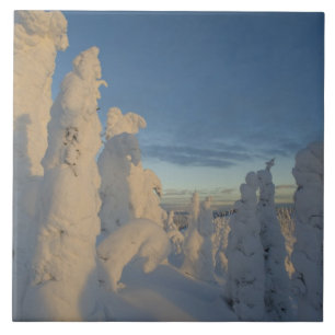 Schneemassen bei Sonnenuntergang im Whitefish Moun Fliese