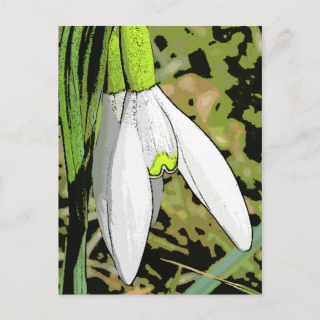 Schneemobile Postkarte (Vorderseite)