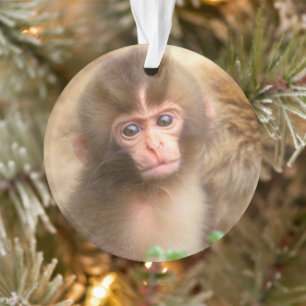 Schneemonbabyporträt Ornament