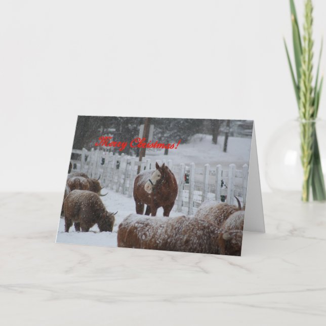 Schneepferd, frohe Weihnachten! Feiertagskarte (Vorderseite)