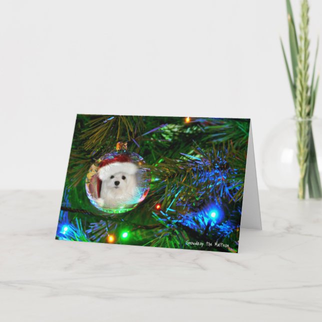 Schneeräumchen der maltesischen Weihnachtskarte Feiertagskarte (Vorderseite)