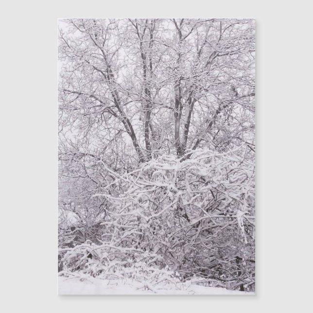 Schneeschlittenkarte Magnetkarte (Vorderseite)