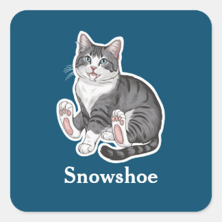 Schneeschuh Quadratischer Aufkleber