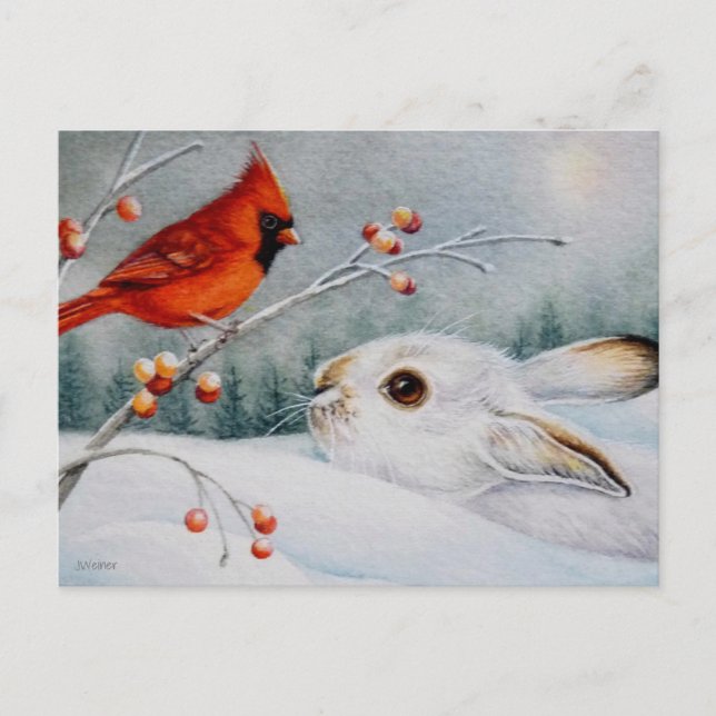 Schneeschuhrabbit und Roter Kardinal Bird - Farbe  Postkarte (Vorderseite)
