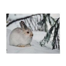 Schneeschuhschneewald Winterschneewald
