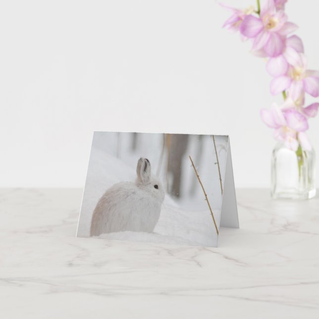 Schneeschuhverleih im Schnee Karte (Orchidee)