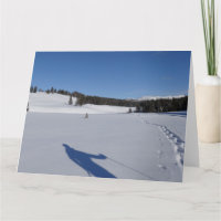 Schneeschuhwandern im Yellowstone-Nationalpark