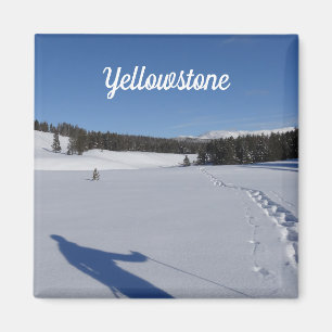 Schneeschuhwandern im Yellowstone-Nationalpark Magnet