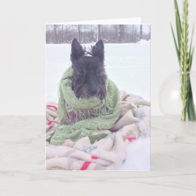 SchneeScottie Karte (Vorderseite)