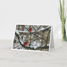 Schneesichere Kardinäle Karte