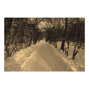 Schneespur mit Bäumen in Sepia Fotodruck