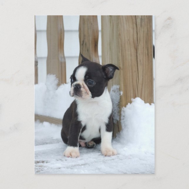 Schneestag Postkarte (Vorderseite)