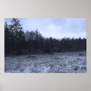 Schneestaub im Moor Poster