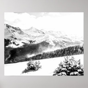 Schneestaube // Schwarz-Weiß Poster