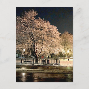 Schneesturm bei Nacht Salem Common Massachusetts F Postkarte