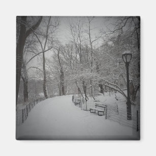Schneesturm, Central Park, New York City Magnet