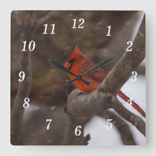 Schneesturm-Kardinal-Uhr Quadratische Wanduhr