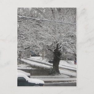 Schneeszene Postkarte