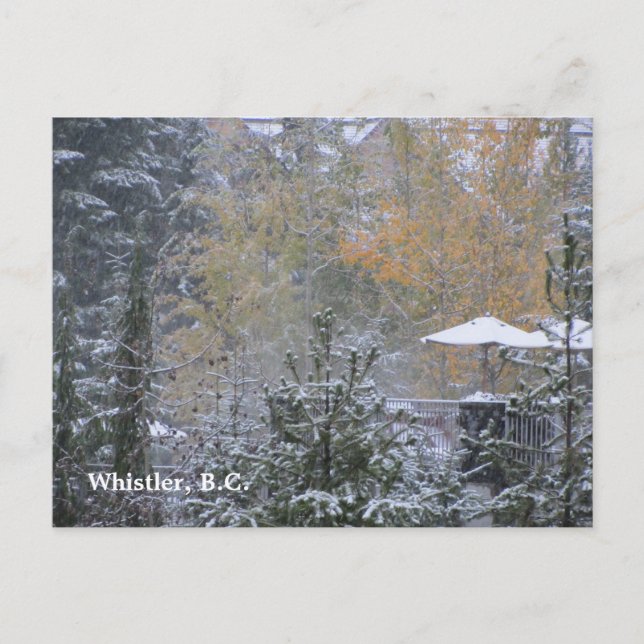 Schneetag in Whistler B.C. Postkarte (Vorderseite)