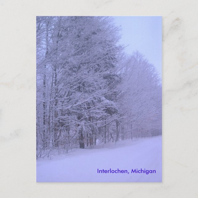Schneetag, Interlochen, Michigan Postkarte (Vorderseite)