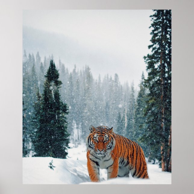 Schneetiger Poster (Vorne)