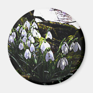 Schneeverfahren am Kühlschrankmagnet Hafren