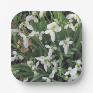 Schneeverfahren auf einer Papierplatte auf einem P Pappteller