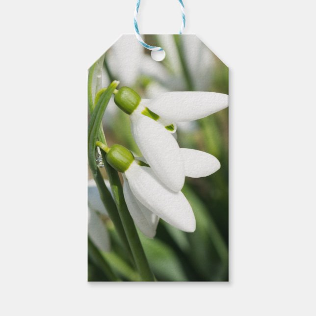 Schneeverfahren-Blume Geschenkanhänger (Vorderseite)