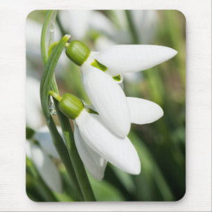 Schneeverfahren-Blume Mousepad