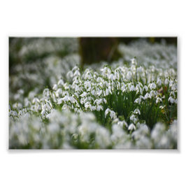 Schneeverfahren Fotodruck