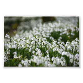 Schneeverfahren Fotodruck