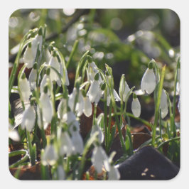 Schneeverfahren Quadratischer Aufkleber