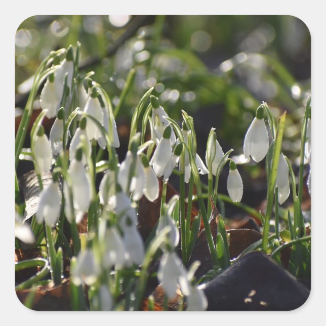 Schneeverfahren Quadratischer Aufkleber (Vorderseite)