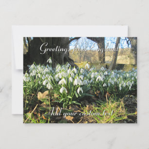 Schneeverfahren unter einem Baum - Personalisiert Postkarte