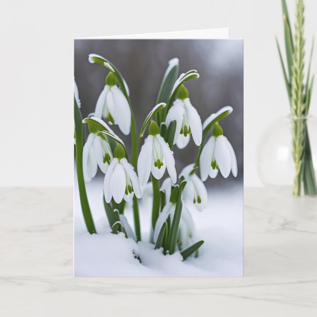 Schneeverfahren zum Geburtstag im Schnee Karte (Vorderseite)