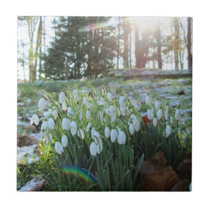 Schneevergnügen im Lichtschnee & Sonnenschein - Ke Fliese