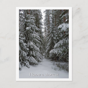 Schneeverhangener Immergrüner Wald individuell anp Postkarte