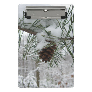 Schneeverzweig Winter Naturfotografie Mini Klemmbrett