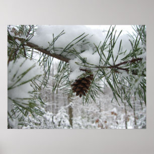 Schneeverzweig Winter Naturfotografie Poster
