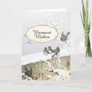 Schneevogel Junco Weihnachten Natur Feiertag C