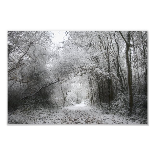 Schneewald (8656) fotodruck (Vorne)