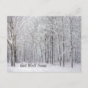 Schneewald - Gute Besserung Postkarte