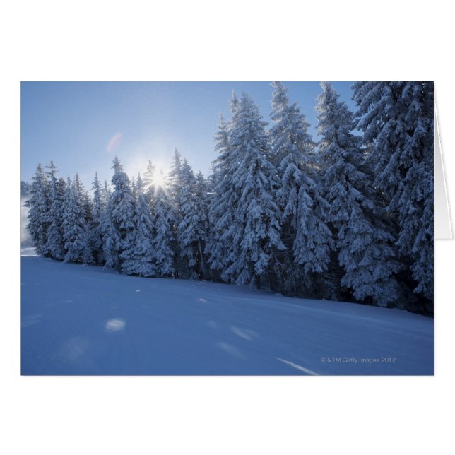 Schneewald im Berg (Vorderseite (Horizontal))