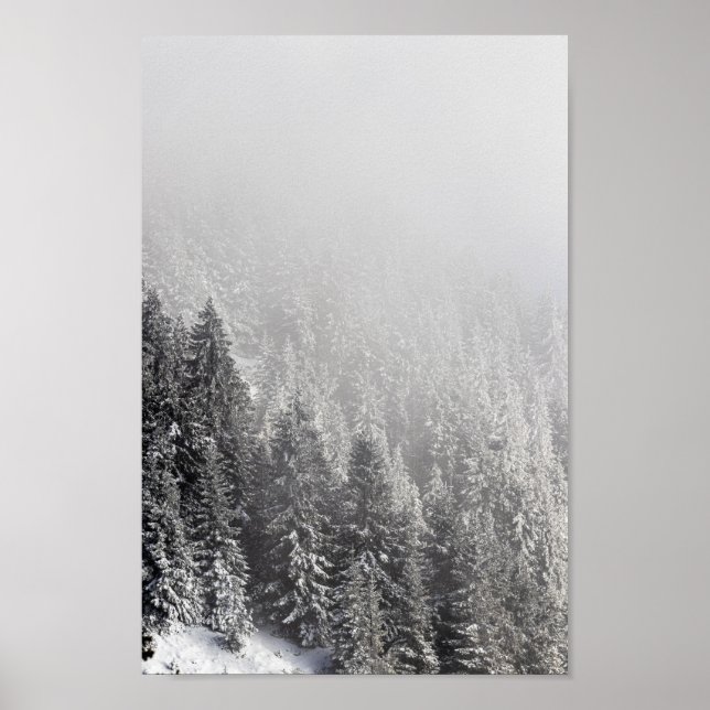 Schneewald in Nebel gewickelt Poster (Vorne)