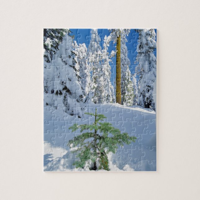 Schneewald in Oregon (Vertikal)