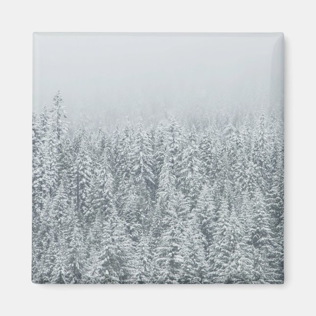 Schneewald Magnet (Vorne)