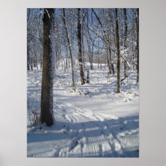 Schneewald Poster