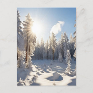 Schneewald Postkarte
